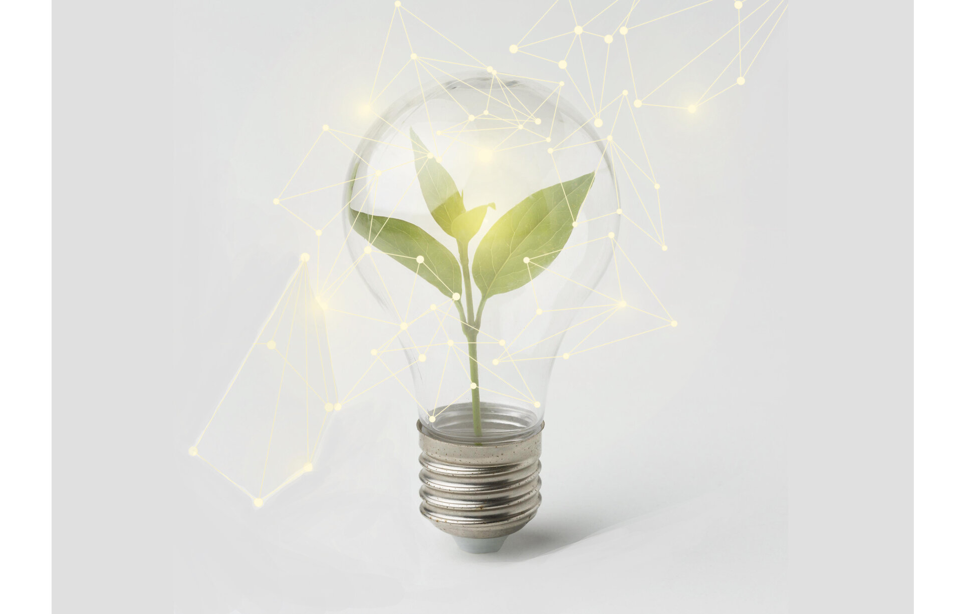 glass, seedling, alcohol, drink